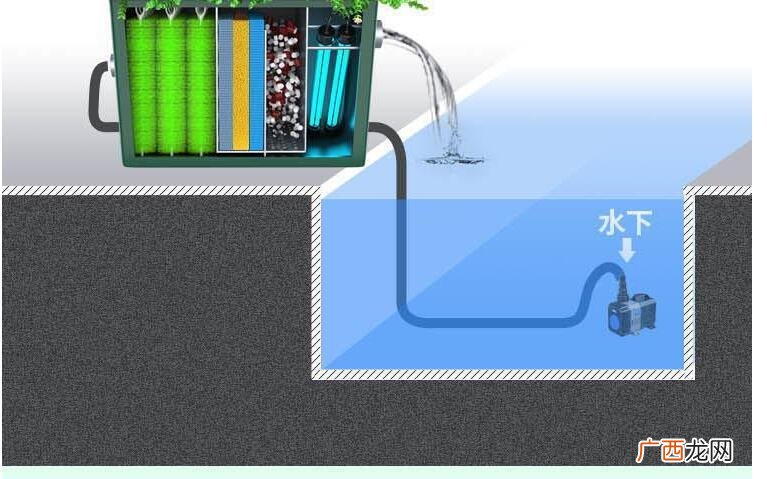 鱼池水处理水循环过滤系统 鱼塘养殖循环水过滤器