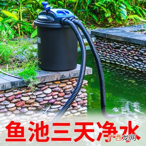 鱼池水处理水循环过滤系统 鱼塘养殖循环水过滤器
