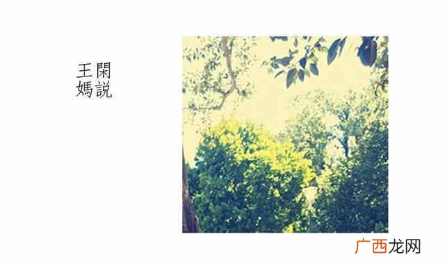 王妈少是什么梗 王妈少是什么原因