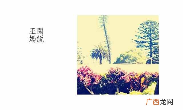 王妈少是什么梗 王妈少是什么原因