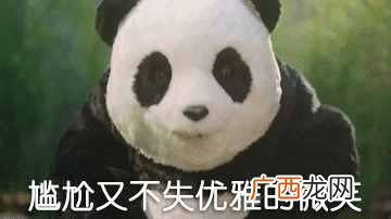 童装什么牌子价格便宜质量好(平价好穿的童装