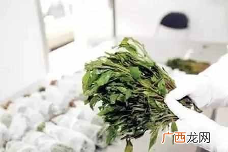 怎么算提成 KTV夜总会特饮什么意思