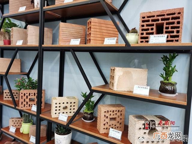 2021年度咸阳市城建十大工程,咸阳2021年新项目有哪些