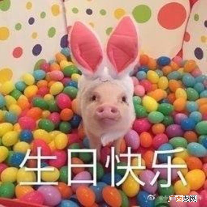 生日快乐祝福表情包 生日祝福图片