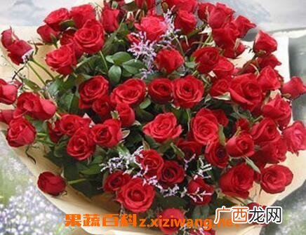 乌丹玫瑰花与普通玫瑰的区别