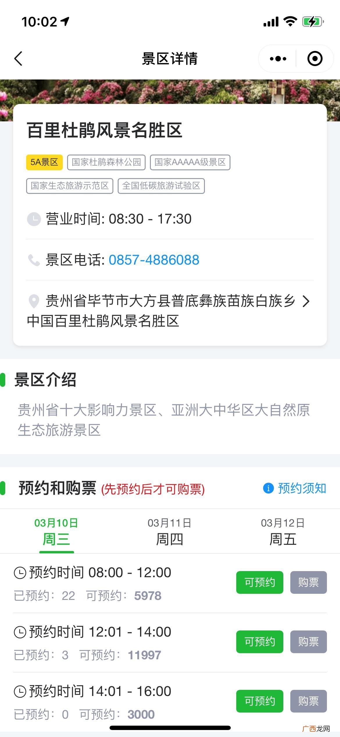 2022年百里杜鹃什么时候开花？