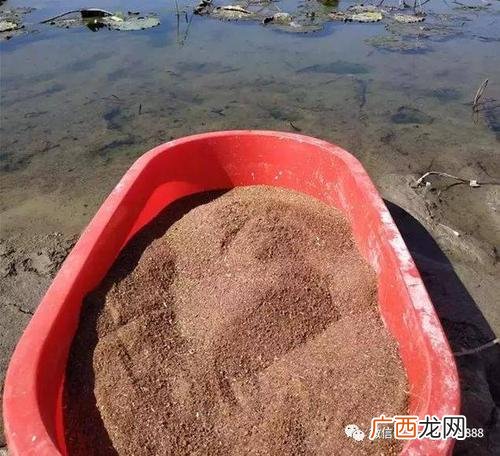 甲醛在水产养殖的应用 茶麸在水产养殖的应用