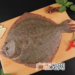 养金鱼几天喂一次食物 多宝鱼可以养殖吗