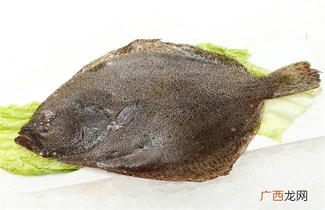 养金鱼几天喂一次食物 多宝鱼可以养殖吗
