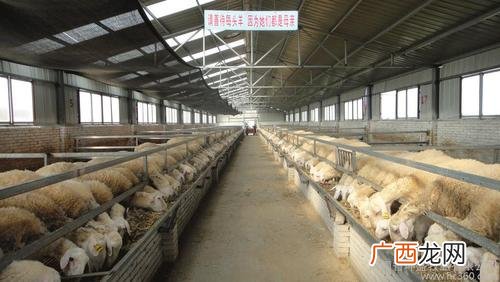 发酵床养鸭鸭舍的建造 发酵床养殖技术.pdf