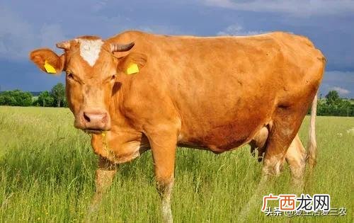 身无分文最快赚钱方法 农村不起眼的暴利小生意