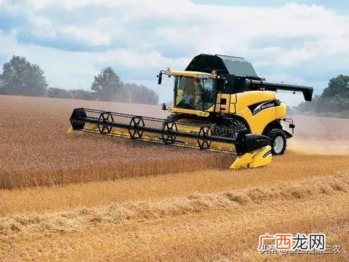 身无分文最快赚钱方法 农村不起眼的暴利小生意