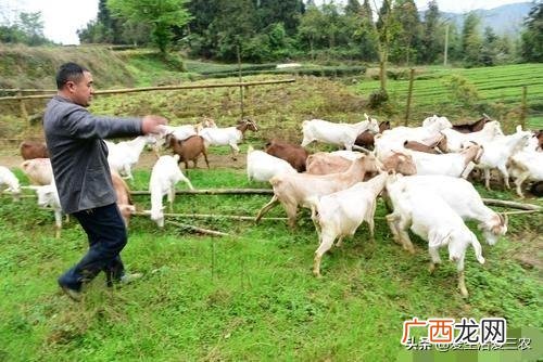 身无分文最快赚钱方法 农村不起眼的暴利小生意
