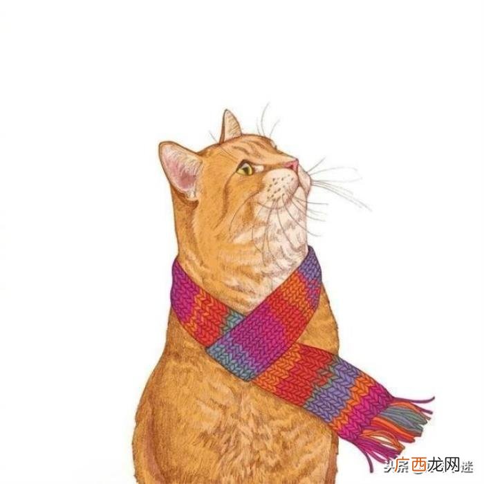 超级心酸伤感的个性签名 感人个性签名