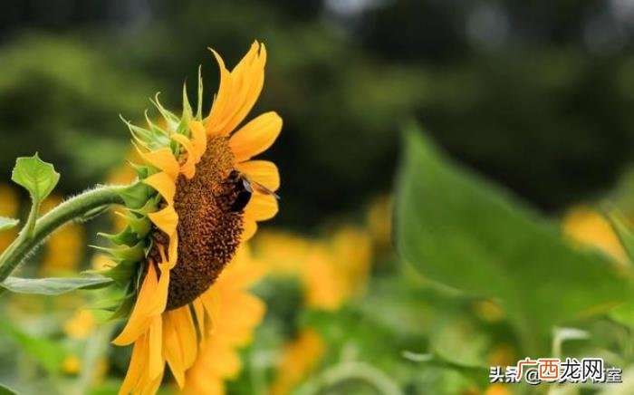 适合喝酒发的高逼格朋友圈 关于喝酒的说说