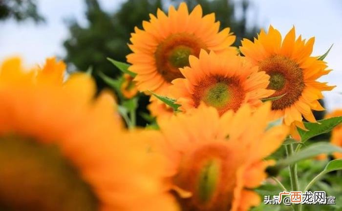 适合喝酒发的高逼格朋友圈 关于喝酒的说说