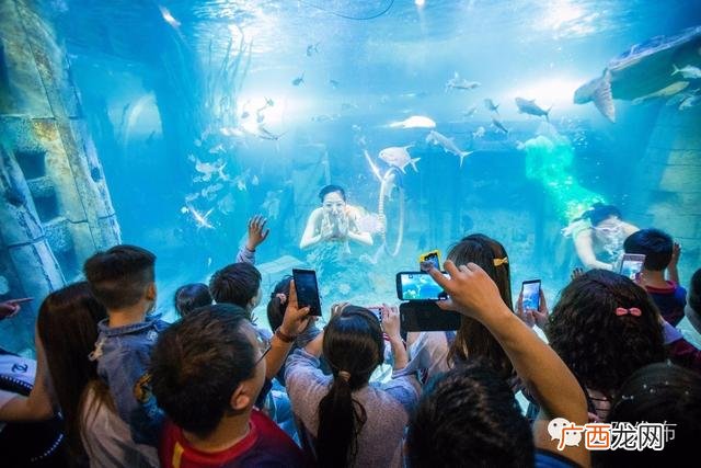 阜阳哪里有室内儿童乐园,儿童室内游乐
