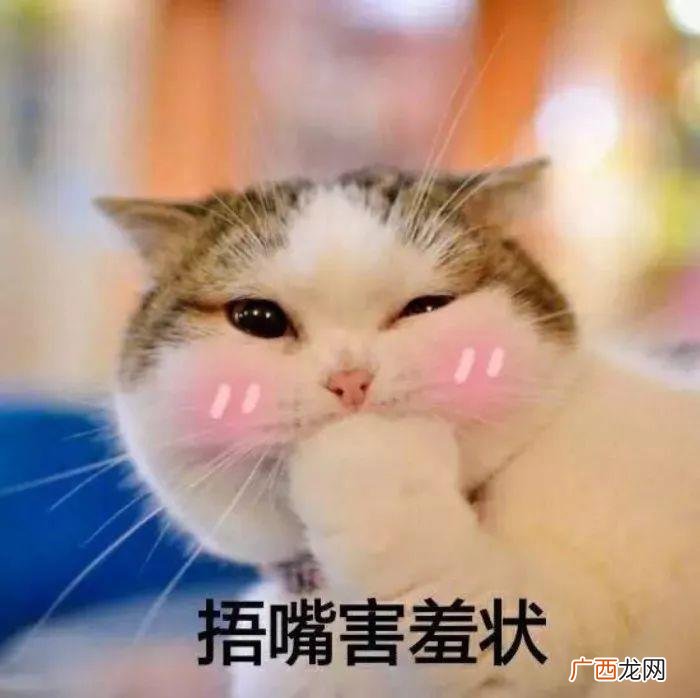 女孩子的暗示有哪些，看懂女生的这4个暗示