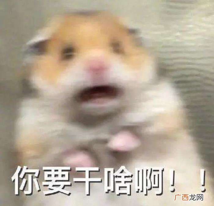 女孩子的暗示有哪些，看懂女生的这4个暗示