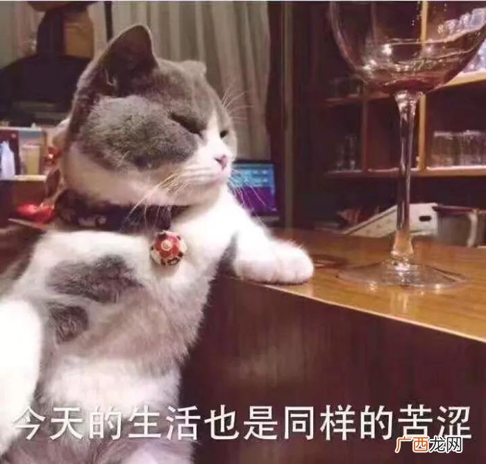 女孩子的暗示有哪些，看懂女生的这4个暗示