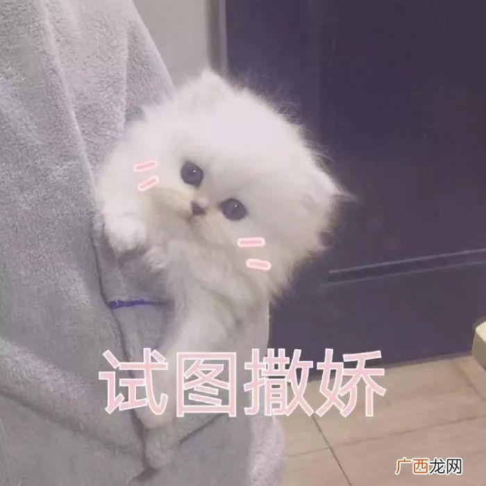女孩子的暗示有哪些，看懂女生的这4个暗示