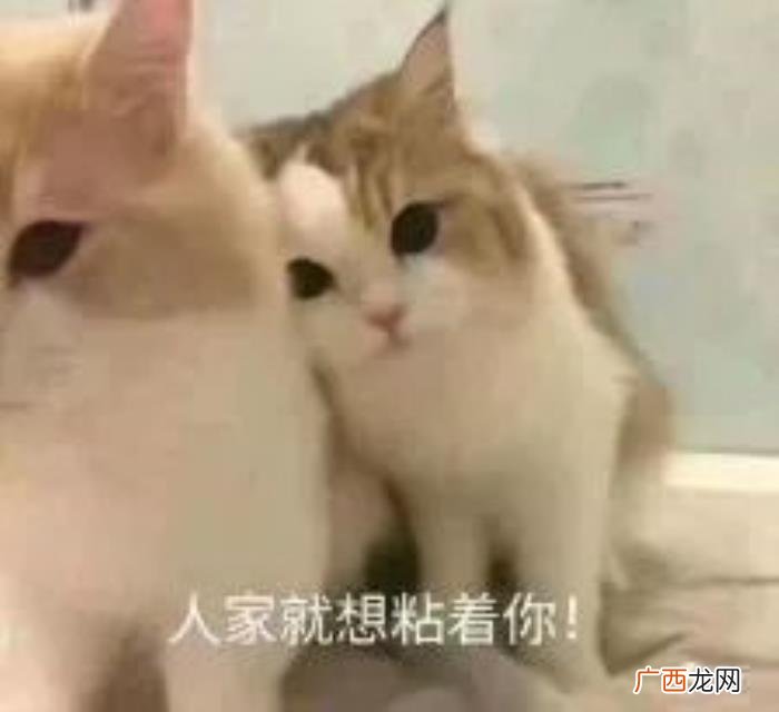 女孩子的暗示有哪些，看懂女生的这4个暗示