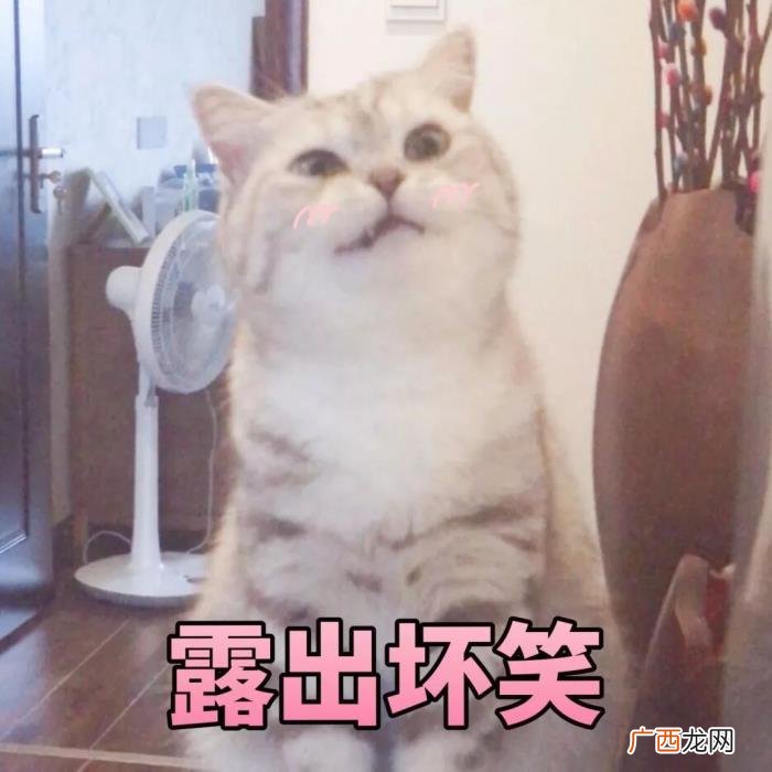 女孩子的暗示有哪些，看懂女生的这4个暗示