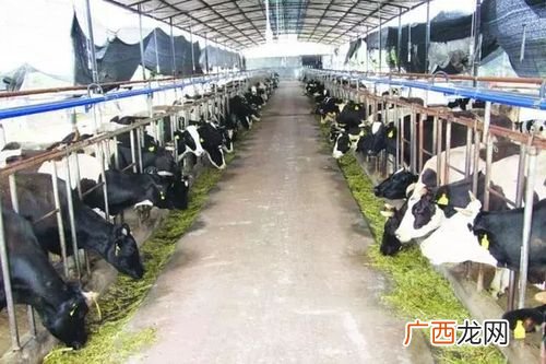 新型农业 农业畜牧养殖