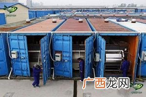 小型养殖什么最赚钱 全自动水产养殖设备