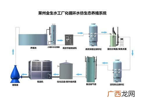 小型养殖什么最赚钱 全自动水产养殖设备