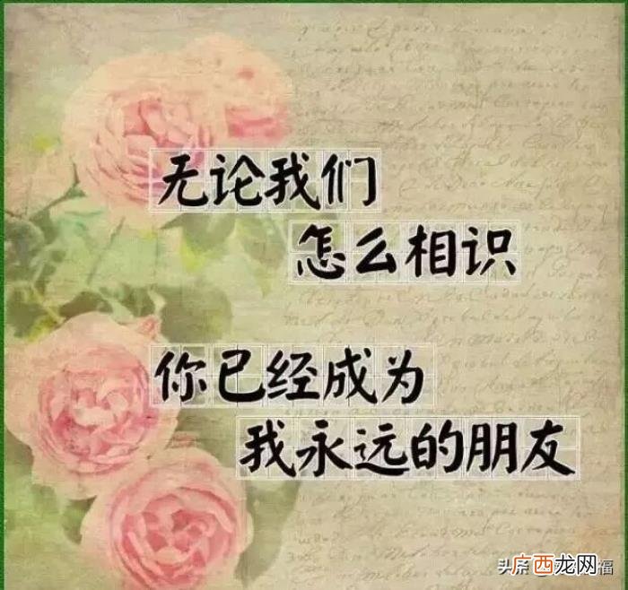 早安祝福问候朋友的暖心图片 暖心图片