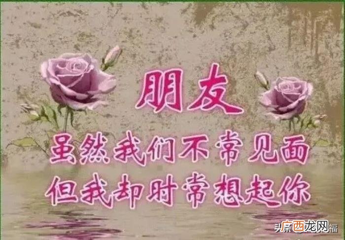 早安祝福问候朋友的暖心图片 暖心图片