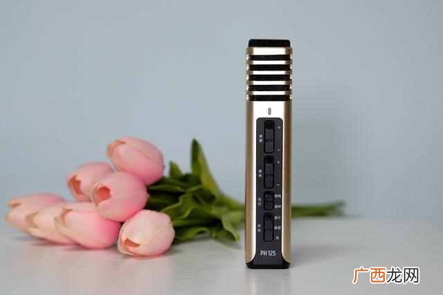 得胜麦克风排行榜 得胜麦克风怎么样