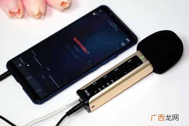 得胜麦克风排行榜 得胜麦克风怎么样