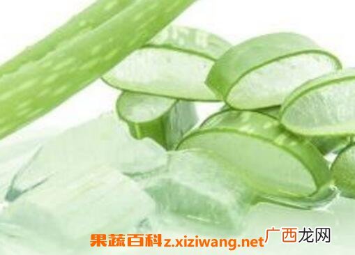 吃芦荟有什么好处 吃芦荟的好处和功效