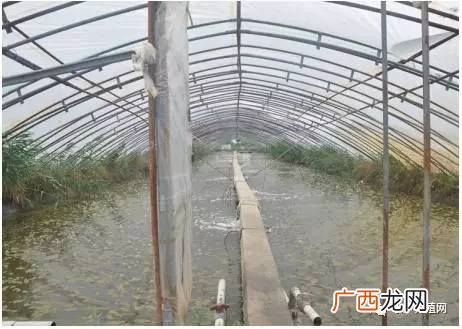 如东小棚硬件设施 如东小棚养殖白对虾