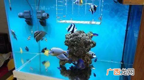 活水养鱼技术视频 深海养殖技术视频