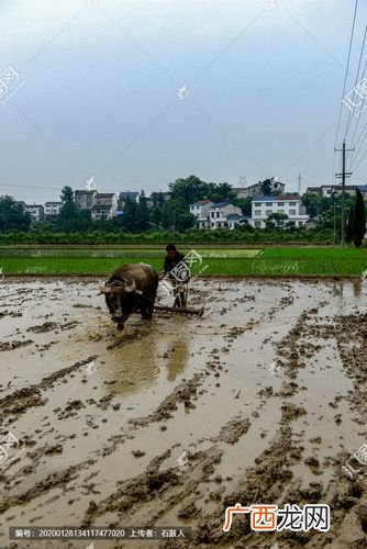 种植用地可以搞养殖吗 生产亩能搞养殖吗