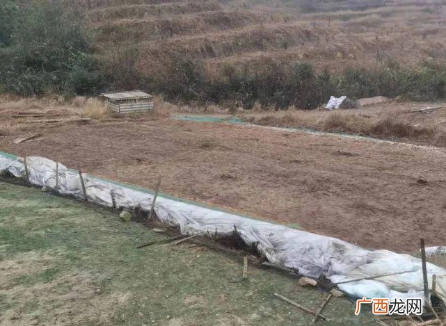 种植用地可以搞养殖吗 生产亩能搞养殖吗