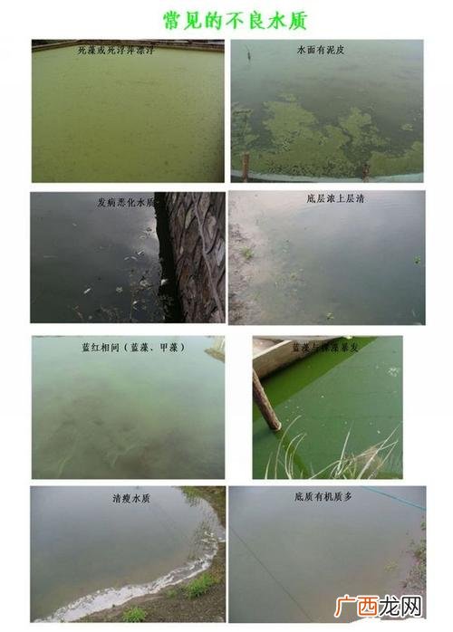 水产肥水配方 水产养殖ph底什么肥水