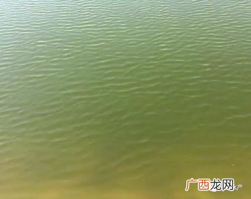 水产肥水配方 水产养殖ph底什么肥水
