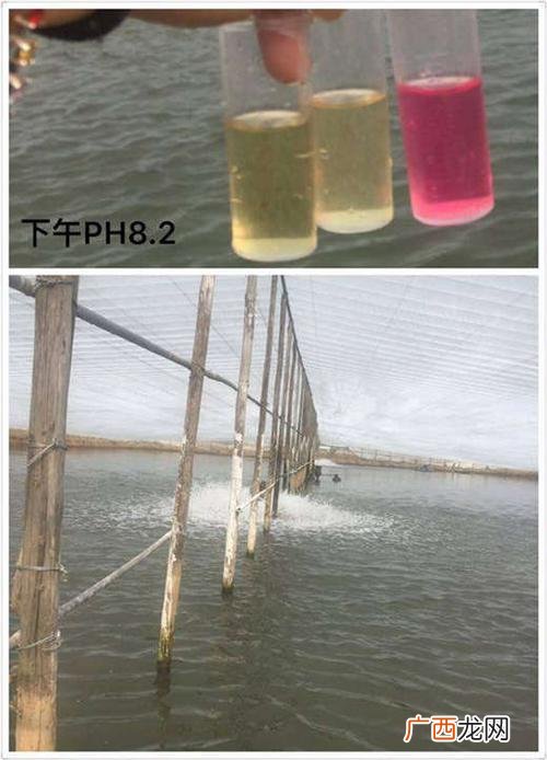 养殖水体ph值低怎么办 水产养殖ph怎么调