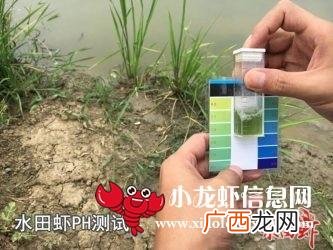 水产养殖ph值高最好的处理法 水产养殖中ph值高啥办