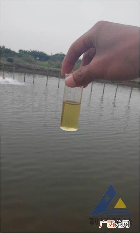 水产养殖ph值高最好的处理法 水产养殖中怎么降低ph