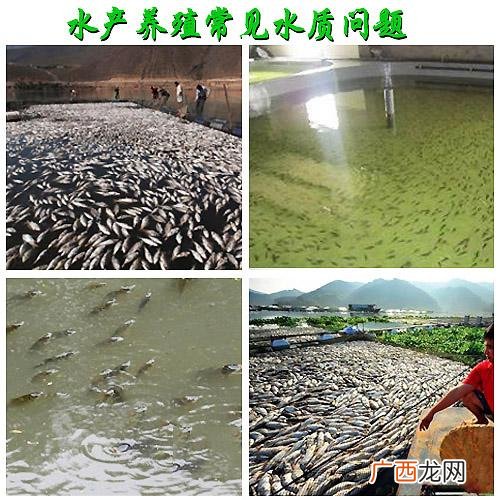 水产养殖ph值高最好的处理法 水产养殖中怎么降低ph