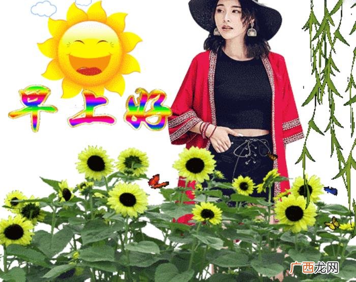 微信很赞的早上动画图片 赞的图片