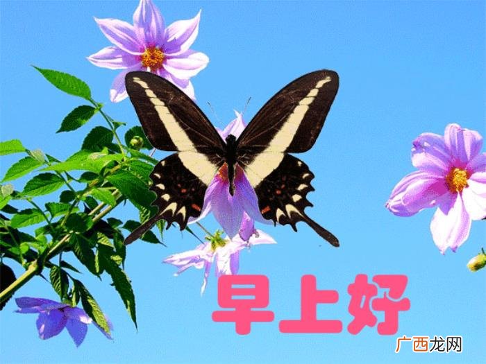 微信很赞的早上动画图片 赞的图片