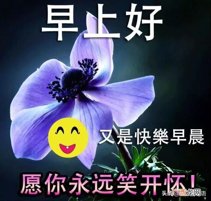 微信很赞的早上动画图片 赞的图片