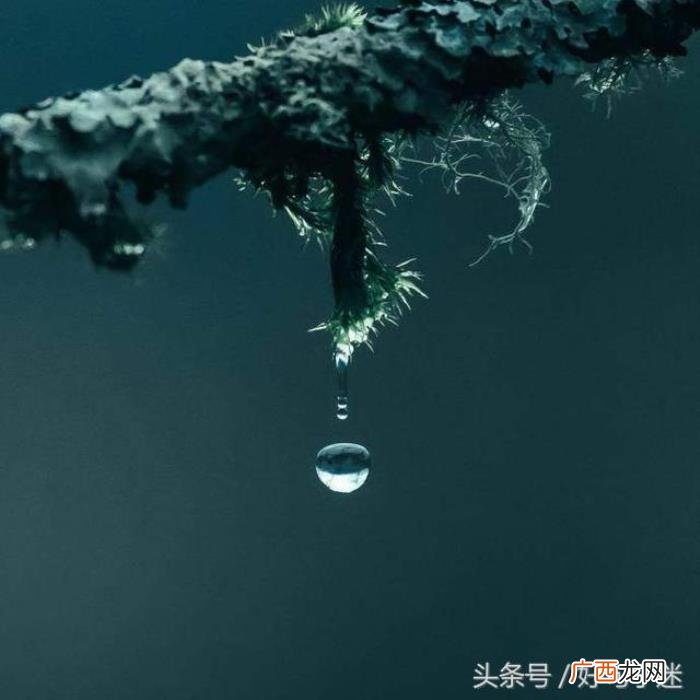 佛经中关于静心的句子 静心语录