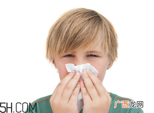 哪些药品含有马来酸氯苯那敏原料药制剂？